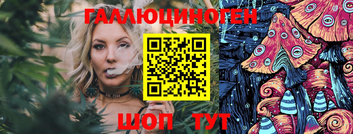 Галлюциногенные грибы Psilocybe Домодедово