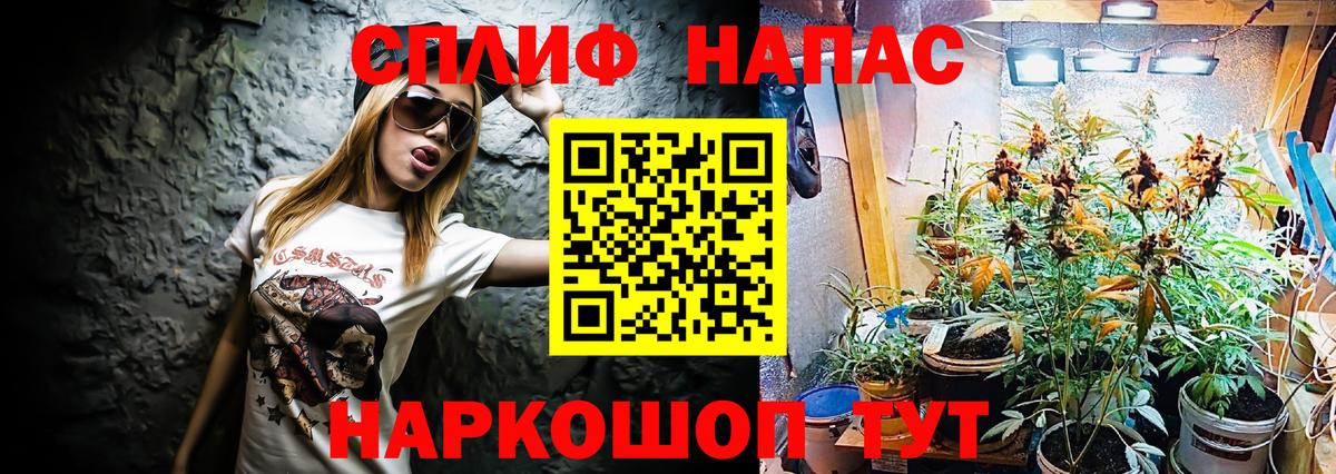 Бошки марихуана Bruce Banner  Вход с VPN  Марихуана план  Домодедово  Конопля индика 